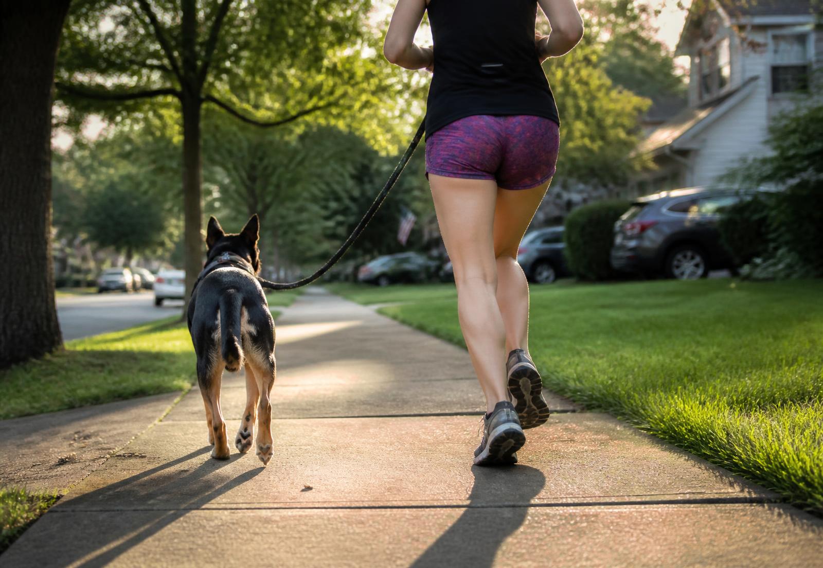 Runner and dog jogging together down a sunlit trail